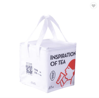 Good price Personalized Thermal Insulation Cooler Bag Can for Picnic online
