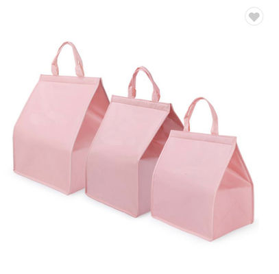 Harga yang bagus Tas Isolasi Kue Segitiga Non Woven 4 / 6 / 8 Inci Aluminium Foil Seafood Cooler Bag daring